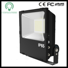 Waterproof Light Factory IP65 Bridgelux Chip LED Floodlight